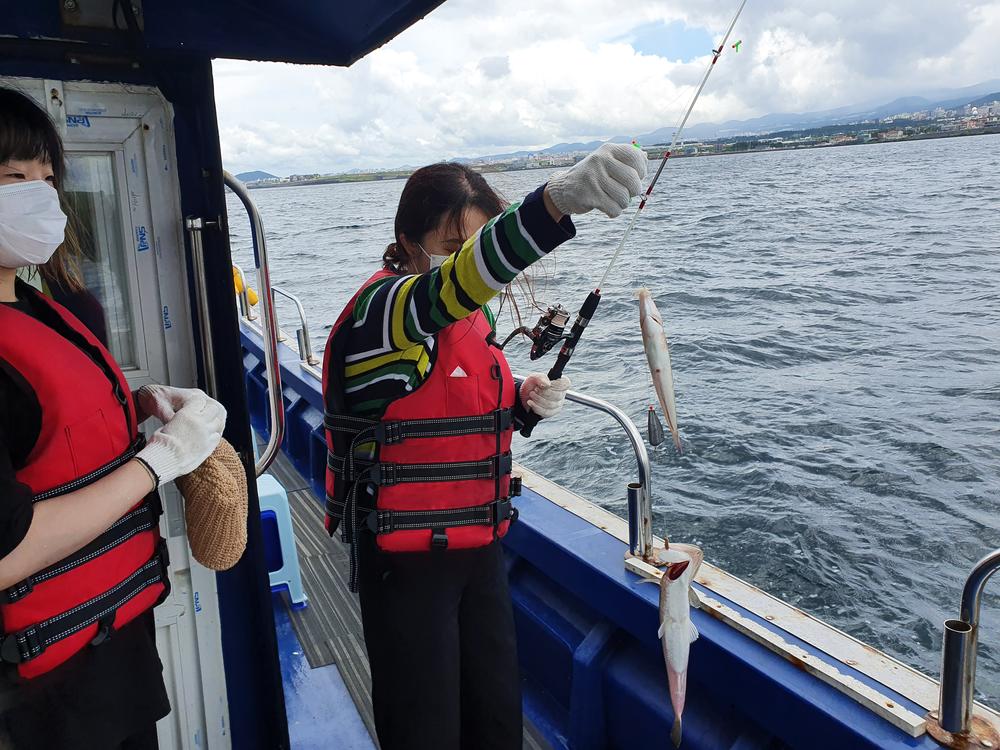 3695294320_FEylfVY5_e2c563f6893ce5d4ddd332a94925f6e77360d848.jpg 이미지크게보기